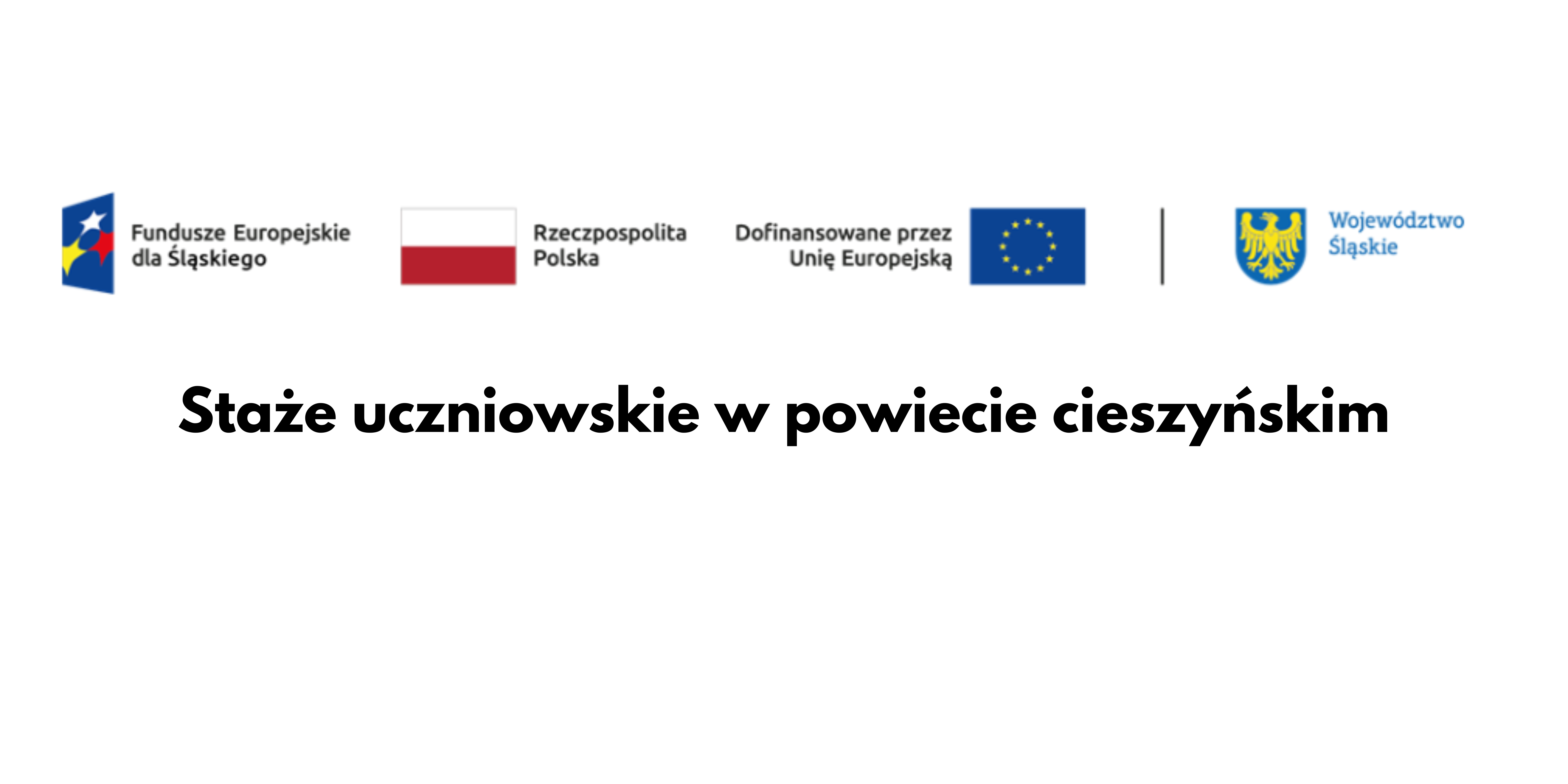 Staże uczniowskie w powiecie cieszyńskim